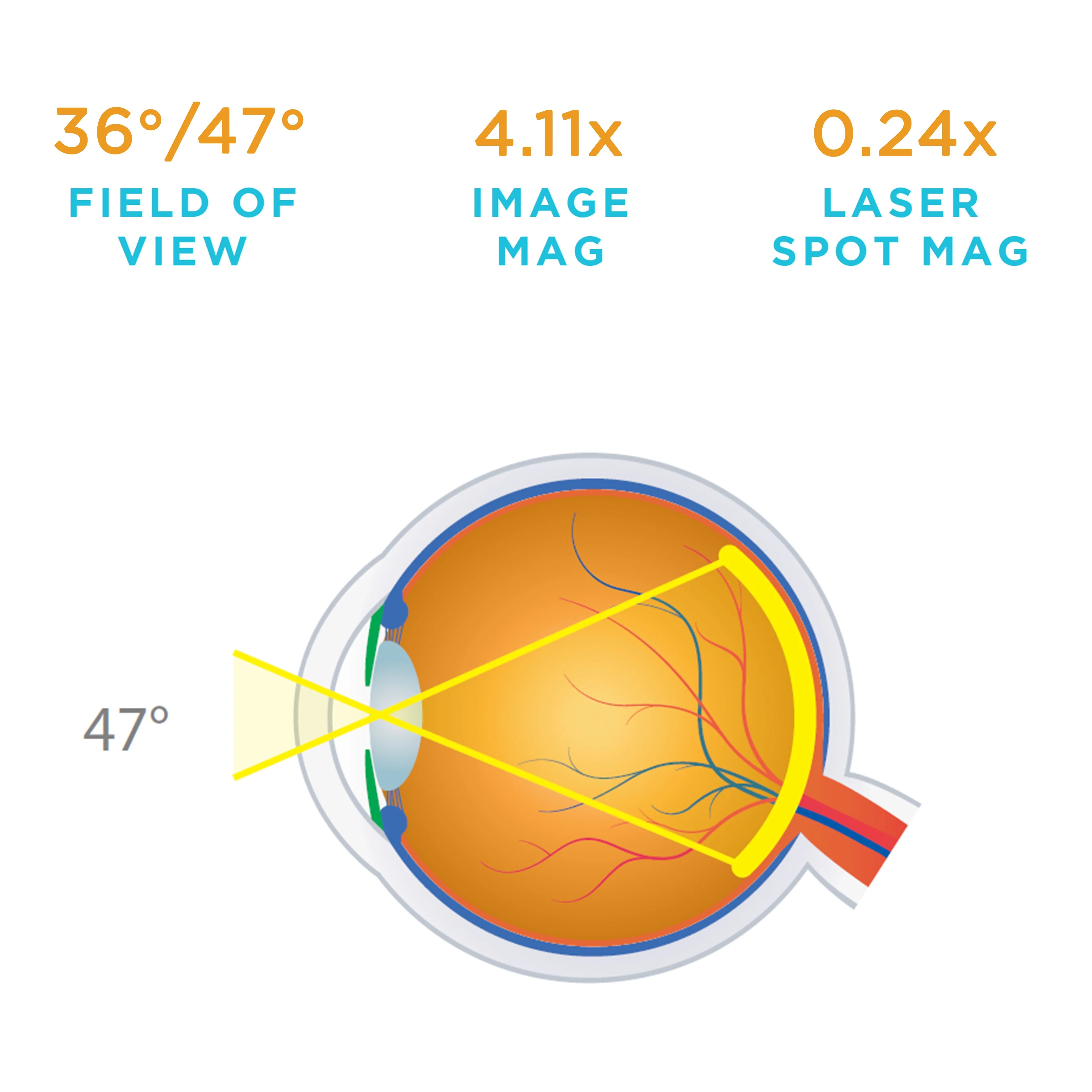 15D BIO Lens - Image 3