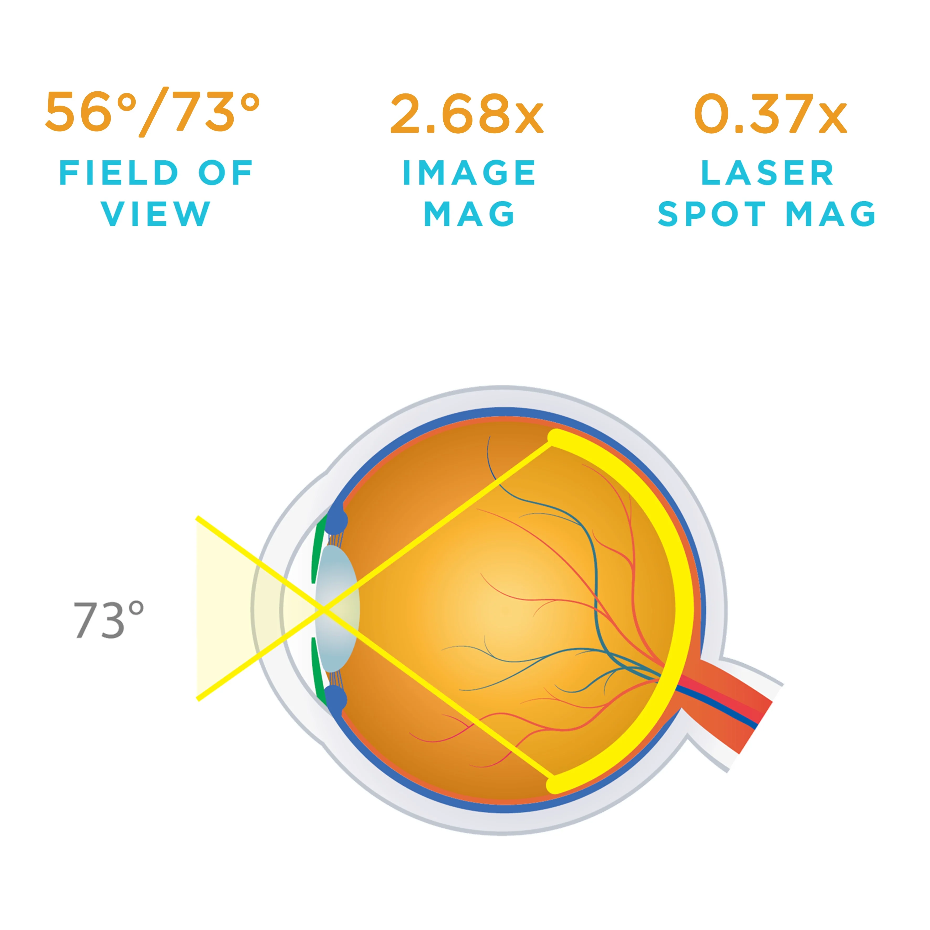 Pan Retinal® 2.2 - Image 8