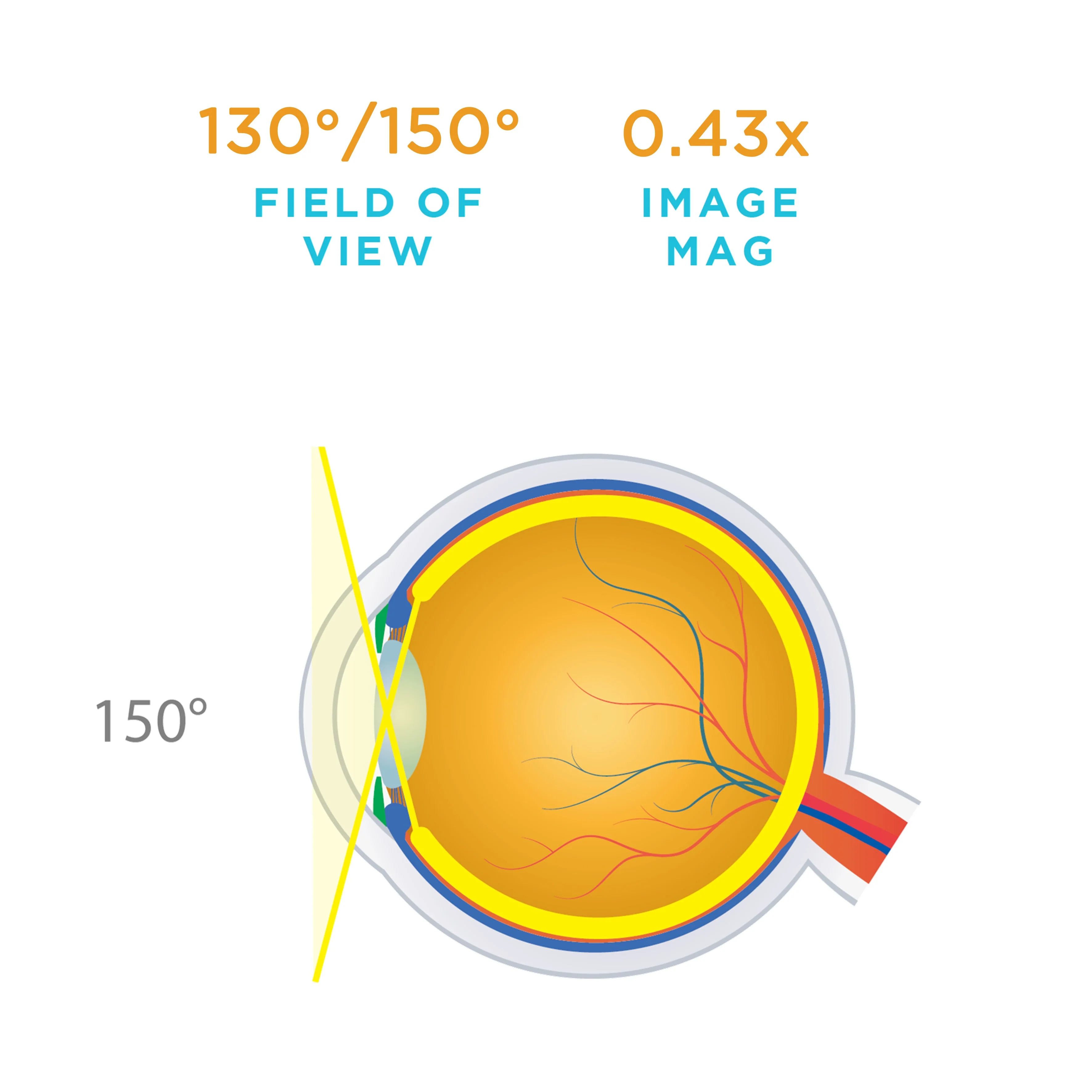 HRX Vit Lens - Image 5